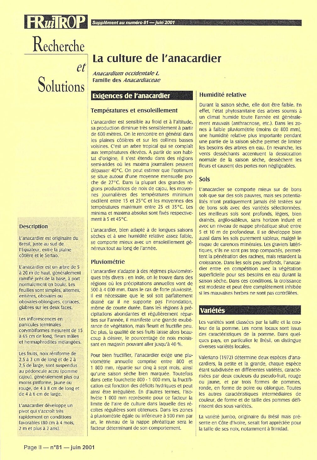 La culture de l'anacardier