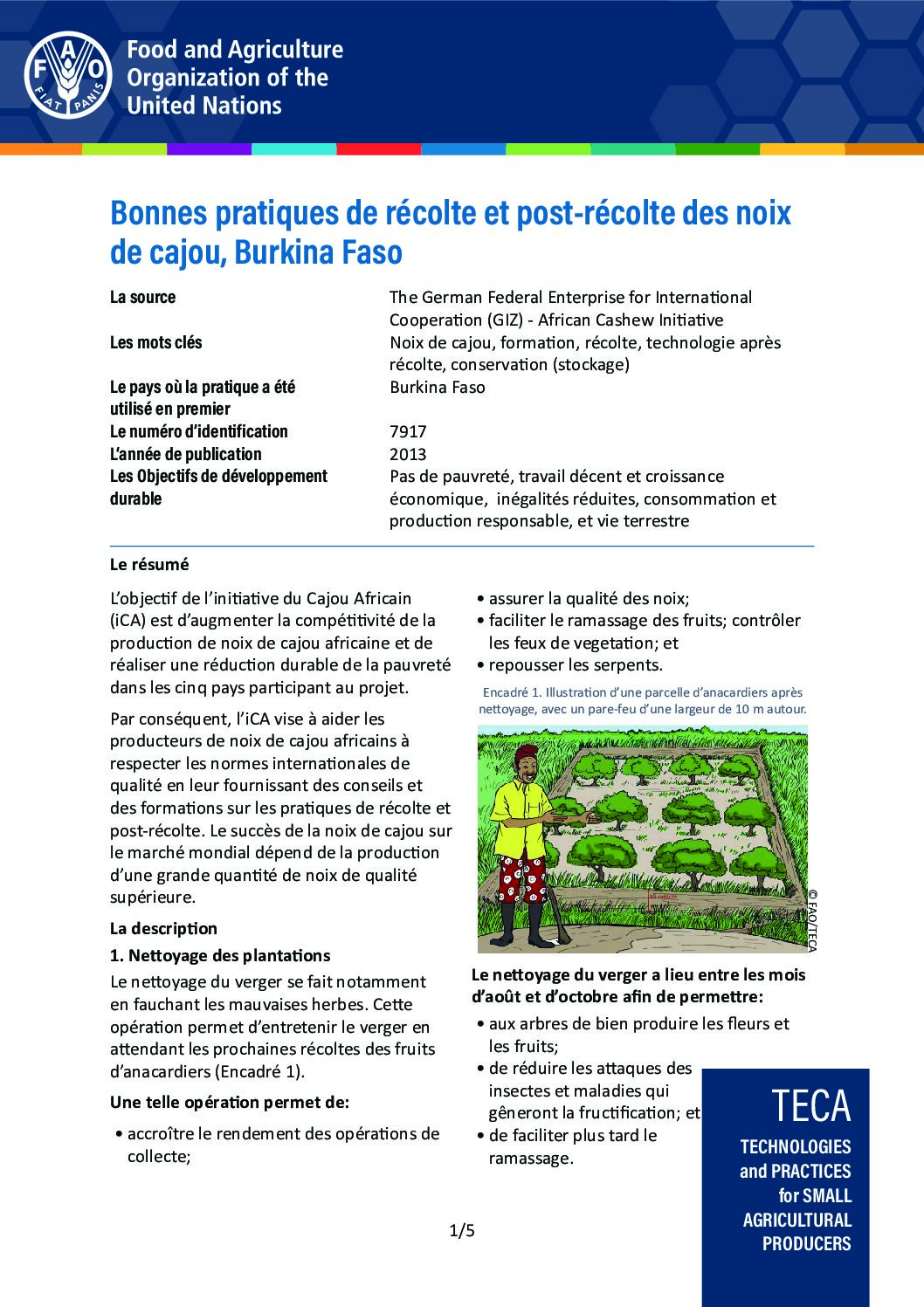 Bonnes pratiques de récolte et post-récolte des noix de cajou, Burkina Faso