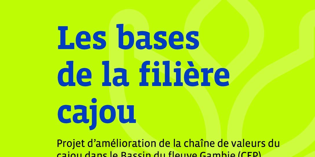 cashew_basics_french