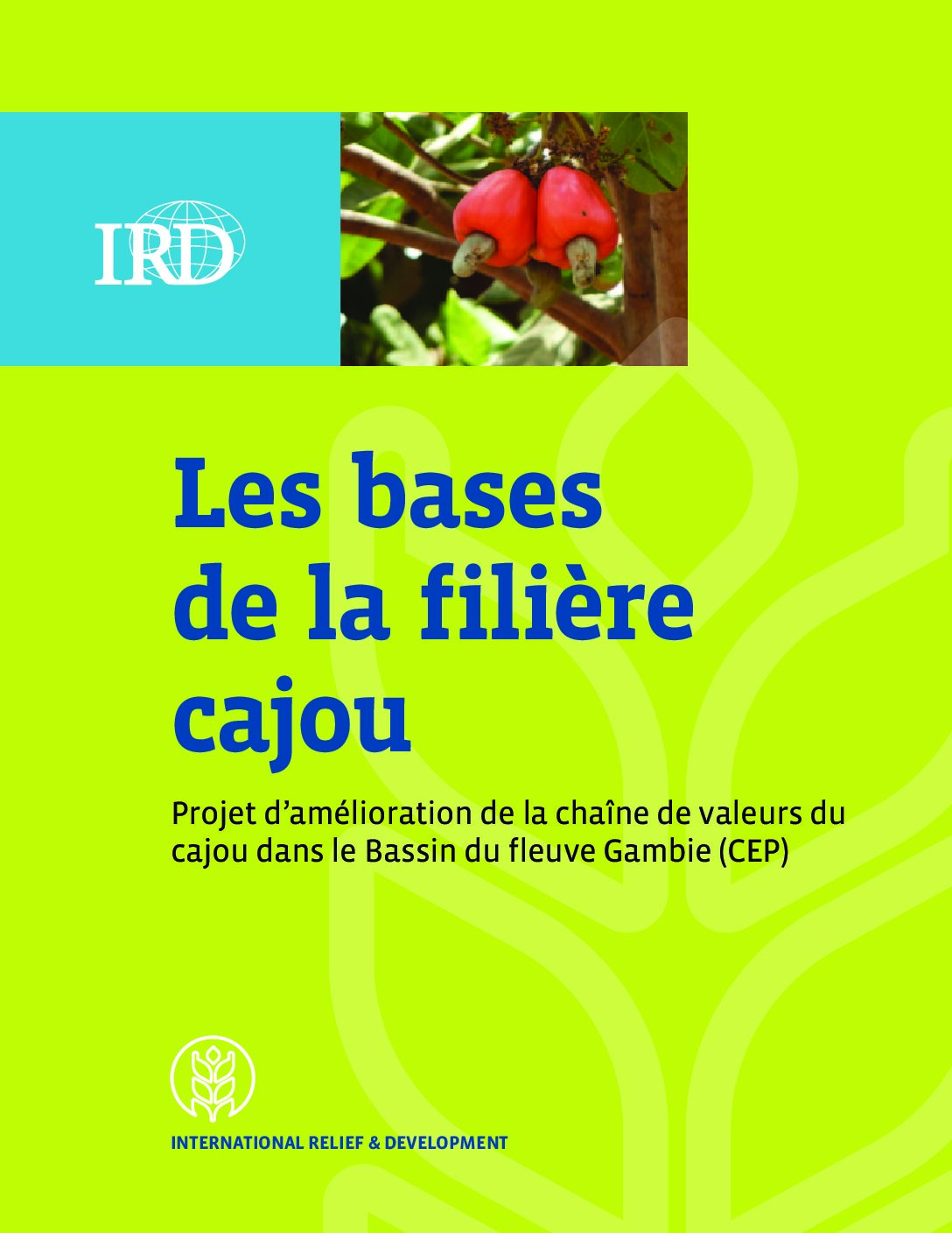 Les bases  de la filière cajou